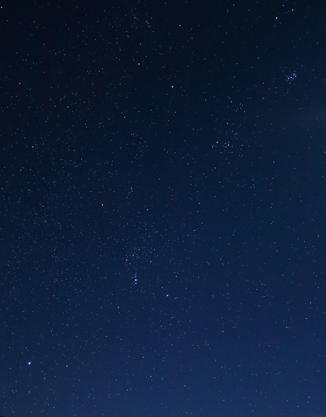 オリオン座とおうし座を中心とした、冬の星座の星々の写真